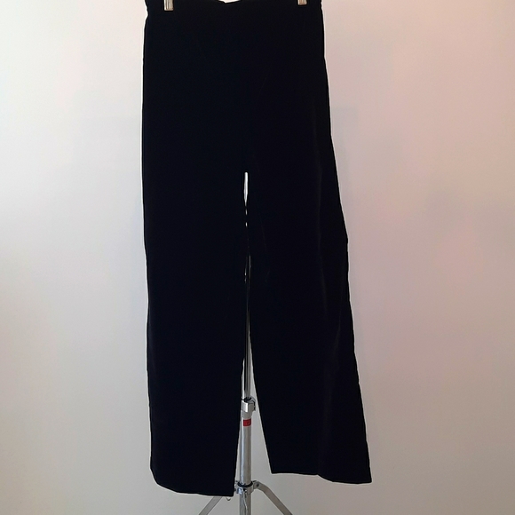 NWT Velvet Pants - Picture 3 of 3